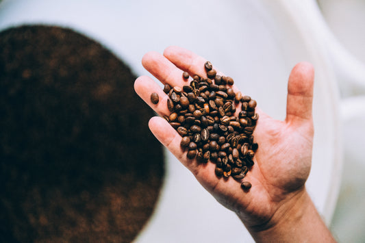 hand-full-of-roasted-coffee